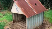 Собачью будку с дыркой от метеорита выставили на аукцион