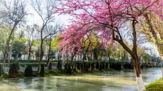 Куда казахстанцы могут поехать с детьми на весенних каникулах