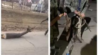 Браконьеры привязали тушу косули к хвосту лошади