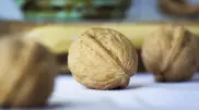 Врач рассказал, что произойдет, если съедать горсть грецких орехов в день