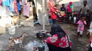 В ООН призвали выделить миллиарды на помощь Йемену