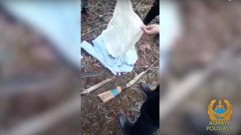 Схрон найден в роще Баума в Алматы