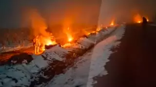 В Шымкенте жгут костры ночами, чтобы спасти плодовые деревья