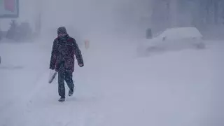 Низовая метель и ветер ожидаются в Казахстане