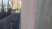 Массовая драка попала на видео в Кызылординской области