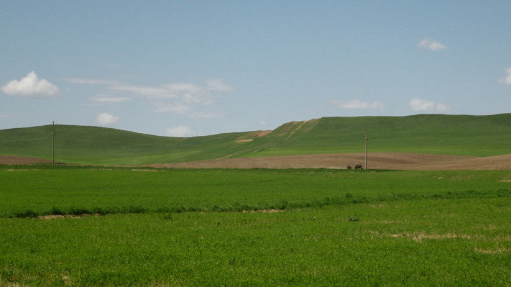 У казахстанских банков изымают неиспользуемые сельхозземли