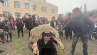 Сельский аким продемонстрировал силу, подняв барана 50 раз