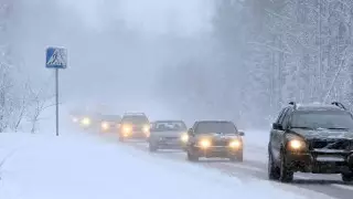 Сильный ветер и осадки прогнозируют в Казахстане