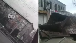 Упавшие деревья и сорванные крыши: последствия ветра в Алматы