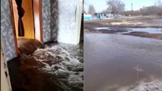 "Море пришло в дом". Талые воды подтопили село в Павлодарской области