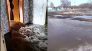 "Море пришло в дом". Талые воды подтопили село в Павлодарской области