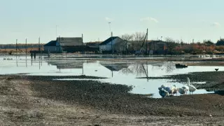 Режим ЧС объявлен в двух районах ЗКО