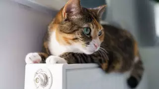 Когда завершится отопительный сезон в Алматы