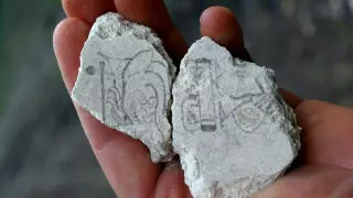 Самые ранние свидетельства календаря майя обнаружили в Гватемале