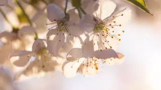 Какой будет погода в Казахстане в выходные дни