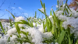 Снег и похолодание до минус 8 градусов прогнозируют в Казахстане