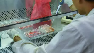 Кыргызстан отказался строить у себя российскую биолабораторию