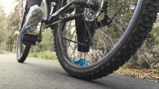 Наличие велосипеда за 7,5 тысячи долларов объяснил аким Сарани