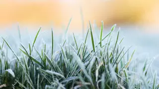 Сильные дожди и мокрый снег ожидаются в Казахстане