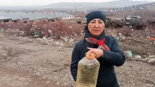 Жителям в ВКО отказали в проверке свинофермы