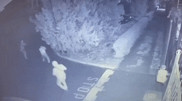 Видео со стрельбой в Таразе прокомментировали в КНБ