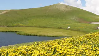 Где вода на земле, под землей и над землей в Жетысу?