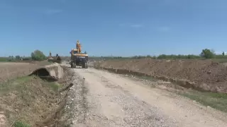 Урожай гибнет в 160 крестьянских хозяйствах Шымкента