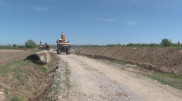 Урожай гибнет в 160 крестьянских хозяйствах Шымкента