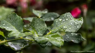 Заморозки, ветер и град. Синоптики предупредили казахстанцев