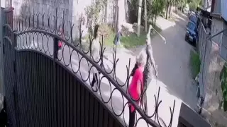 Стали известны подробности избиения пожилой женщины в Алматы