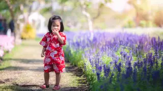 Доля детского населения сократилась до рекордно низкого уровня в Японии