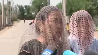 На нашествие мошек жалуются жители Туркестанской области