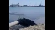 Слив черной массы в Каспий объяснили в Департаменте экологии