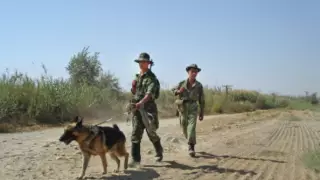 Таджикистан объяснил обстрел своей территории со стороны Афганистана боем талибов с ИГ