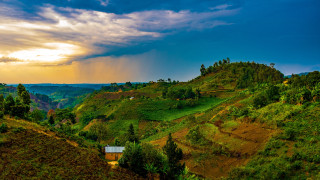 Уганда. Фото:elements.envato.com