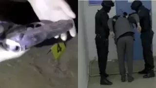 Перестрелка в Кызылорде: задержаны подозреваемые в убийстве трех человек