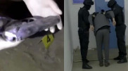Перестрелка в Кызылорде: задержаны подозреваемые в убийстве трех человек