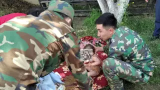 Годовалый ребенок упал в яму уличного туалета в Туркестанской области