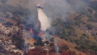 Пожар уничтожил сотни роскошных особняков в Калифорнии