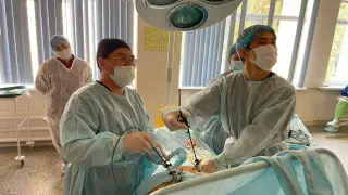 Желчный пузырь с камнями, напоминавший гранат в разрезе, удалили пациентке в Алматы