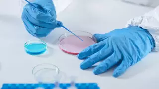 Токаев подписал закон о биологической безопасности