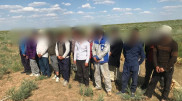 Группу иностранцев застали за выкапыванием лекарственной травы в Туркестанской области