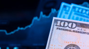 Назван официальный курс доллара на 24 мая