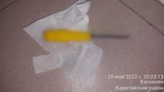 Мужчину убили отверткой в Алматинской области