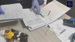 Ущерб на 300 миллионов тенге нанесла государству ОПГ в Карагандинской области