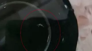 Люди жалуются на червей в воде после подключения к новому трубопроводу в Алматинской области