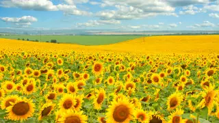 Жара до 42 градусов ожидается в Казахстане