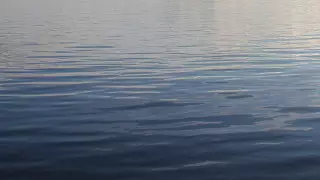 Трое детей утонули в Актюбинской области