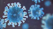 О возможном возникновении более опасного штамма COVID-19 заявили в ВОЗ