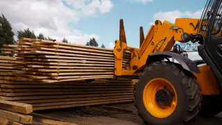 Казахстан ввел запрет на вывоз отдельных видов лесоматериалов